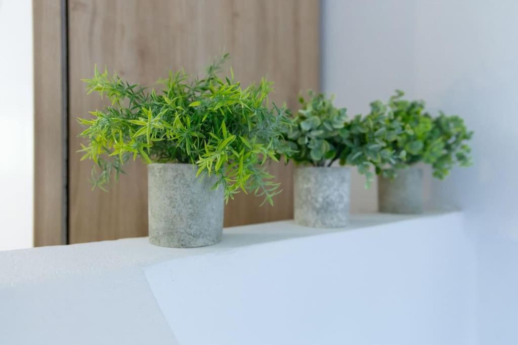 Apartament Donna Marta Bolonia Zewnętrze zdjęcie